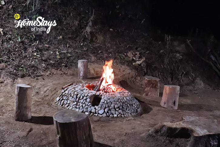 Bonfire-Area-Alpine Haven Homestay, Rishihat 