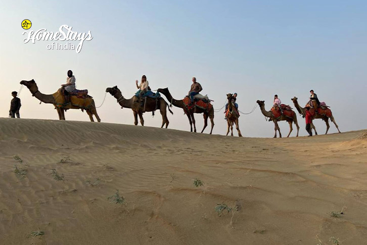 Camal-Safari-Serene Sands Homestay - Jaisalmer