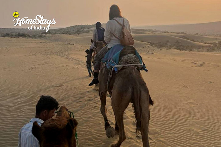 Camal Safari-Serene Sands Homestay - Jaisalmer