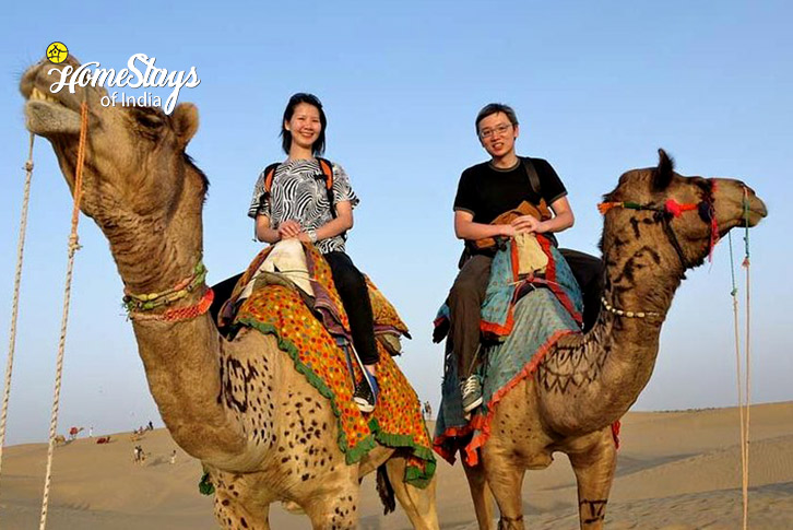 Camal ride-Serene Sands Homestay-Jaisalmer