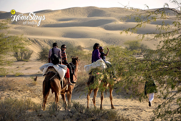 Camel Safari-Khuri-Homestay-Jaisalmer