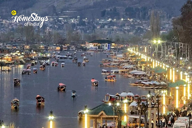 Dal-Lake-Comfort Corner Homestay-Srinagar