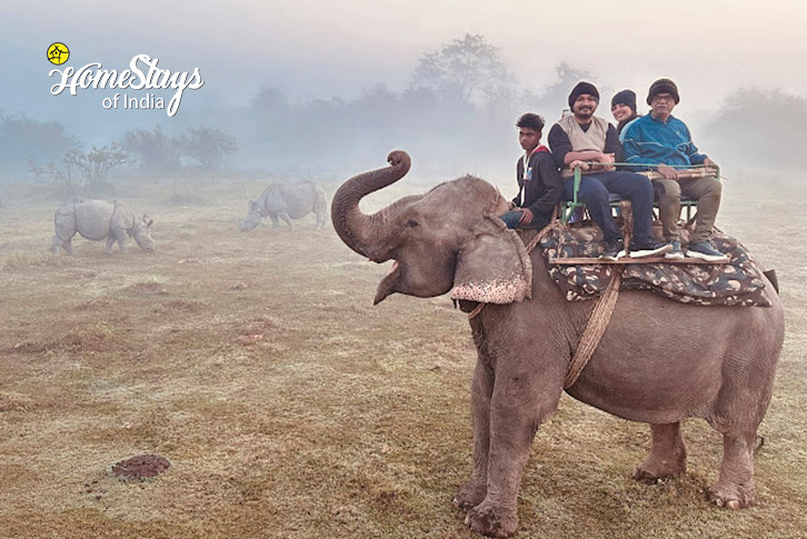 Elephant-Safari-Embrace The Nature Homestay-Kaziranga 