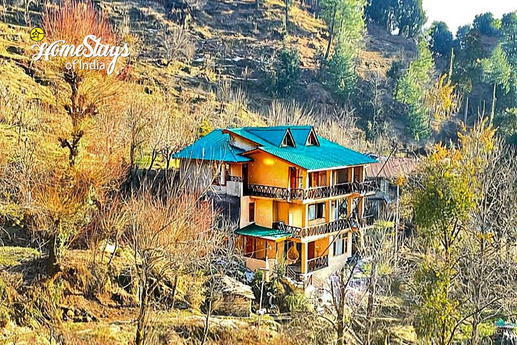 Exterior-2-Magic Wood Homestay,Vashisht-Manali