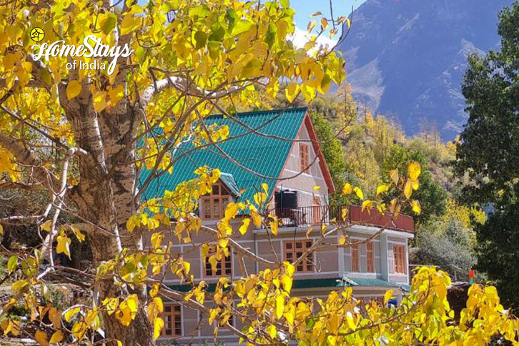 Cosmic Harmony Homestay-Tandi