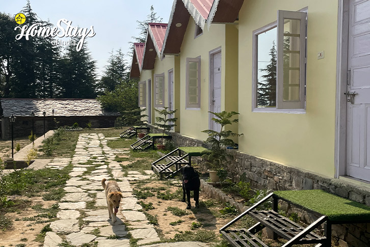 Exterior-Look-Hillside Harmony Homestay-Chail