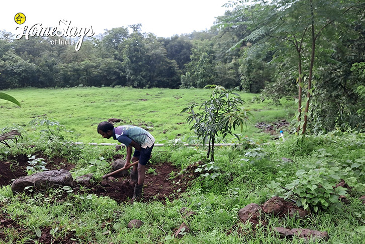 FArming-Fruitful Acres Farmstay, Kolad-Raigad