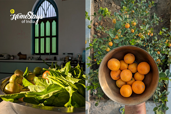 Fresh-Fruit-&-vegetable-The Creative Canvas Homestay-Udaipur