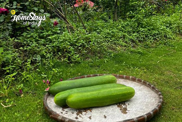 Fresh-Vegetable-Calm Creek Farmstay, Bijanbari-Darjeeling