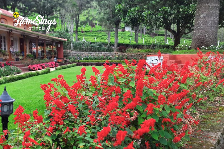 Garden-1-Rythm of Nature Farmstay, Kotagiri-Nilgiri Hills