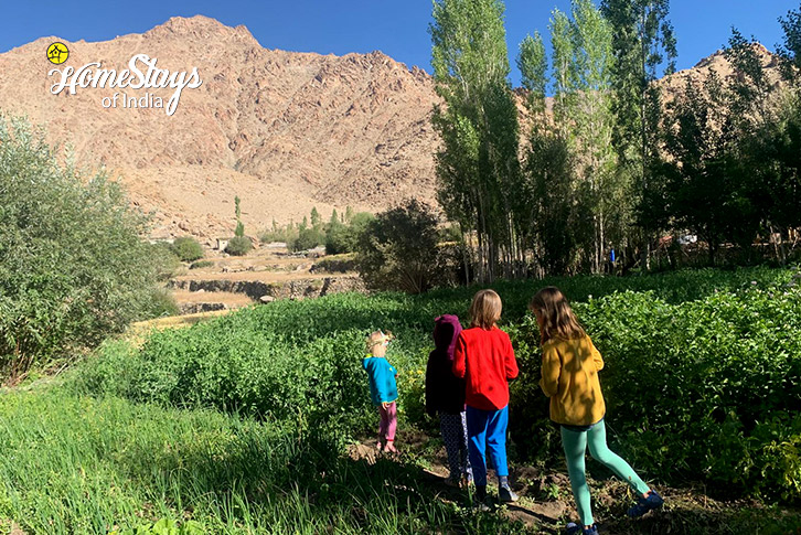 Kids-Enjoy-Likir-Homestay-Ladakh