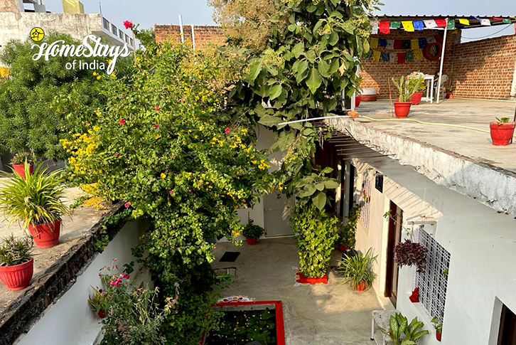 House-View-The Temple Town Homestay-Khajuraho