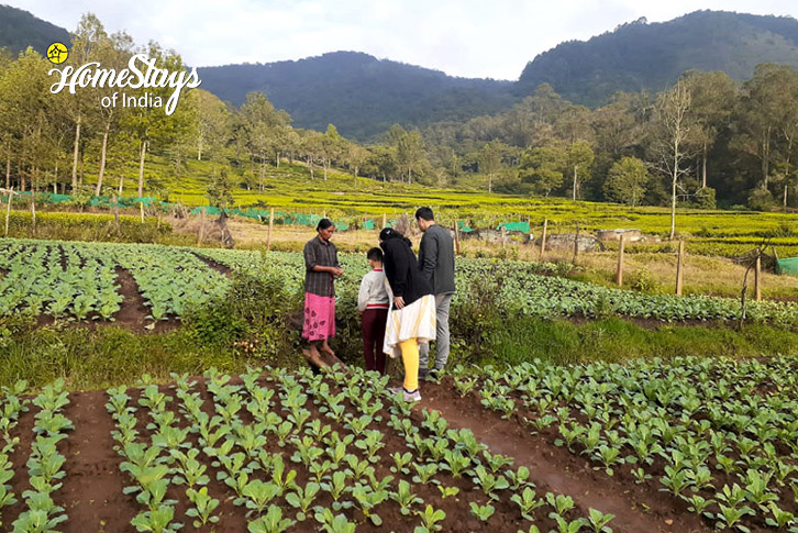 Kitchen-Garden-Rythm of Nature Farmstay, Kotagiri-Nilgiri Hills