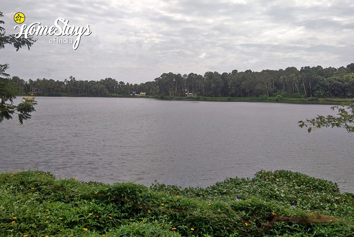 Lake-Peaceful Pondside Homestay-Thiruvananthapuram