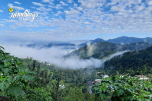 Mountain-View-Happy Haze Homestay-Sirmaur