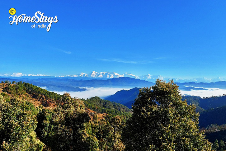 Nature view-Nature's Charisma Homestay, Jalna-Almora