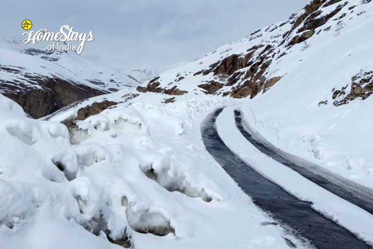 Ghost Trail: Snow Leopard Expedition to Ladakh-15