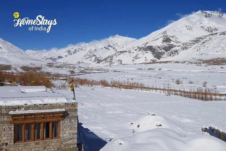 Ghost Trail: Snow Leopard Expedition to Ladakh-19