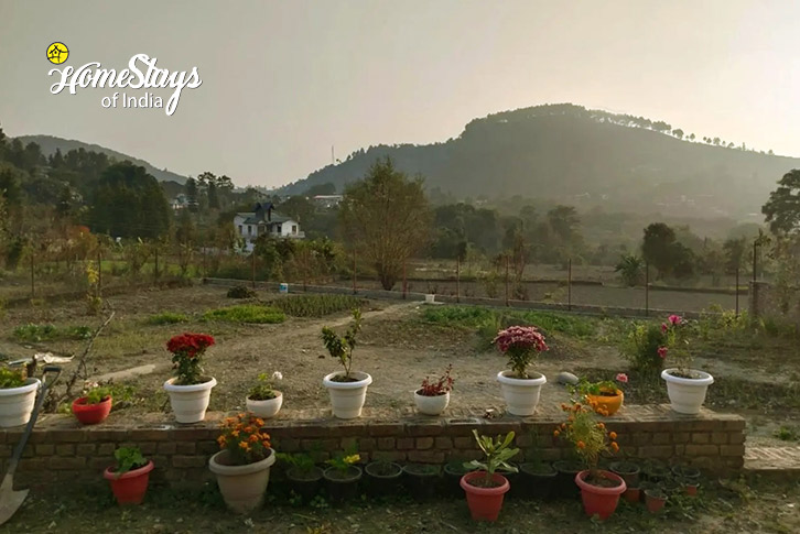 Open-FArm-Land-The Nine Petals Homestay-Naukuchiatal 