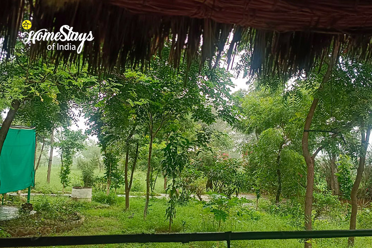 Outside-View-Rustic Farmstay-Neem ka Thana