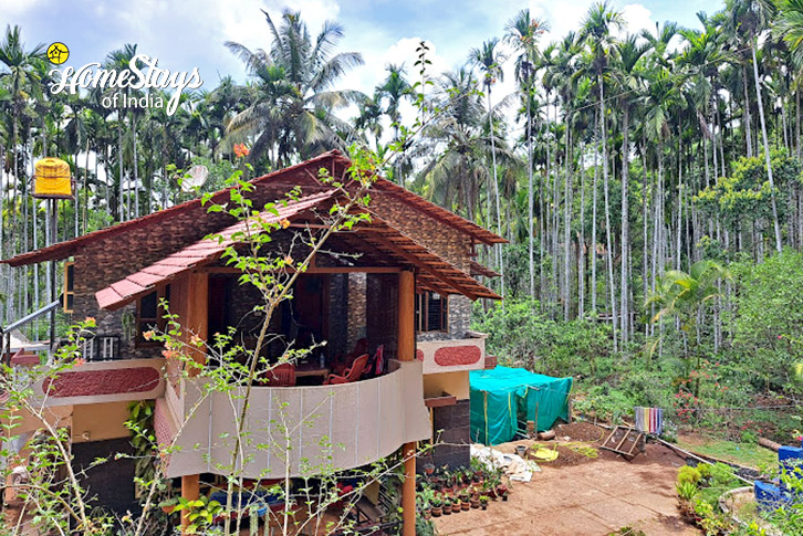 Palm-View-Mystic Forest Homestay, Virajpet-Coorg