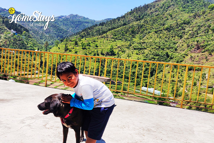 Pet-friendy-Kaphal Farmstay, Kempty-Mussoorie