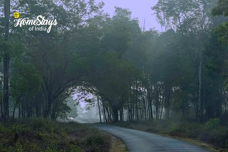 Road-view-The Green Oasis Homestay-Virajpet-Coorg