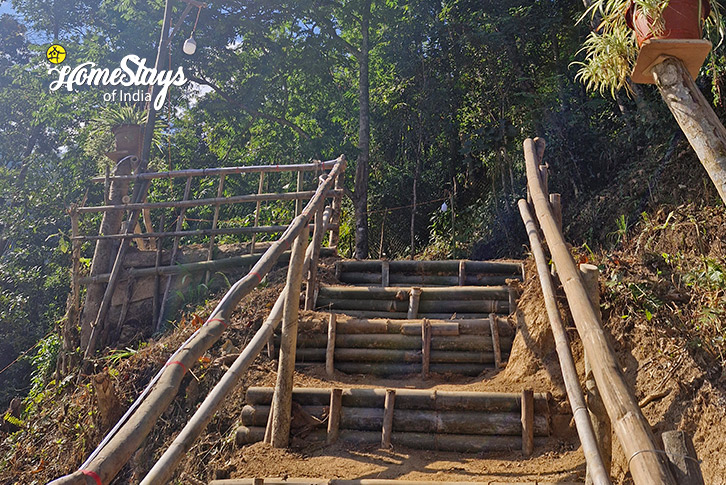 Stairs1-Alpine Haven Homestay, Rishihat 