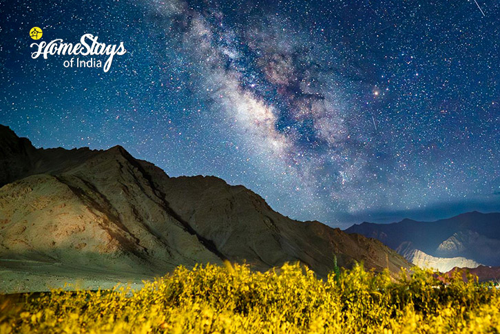 Star-Gazing-Likir-Homestay-Ladakh