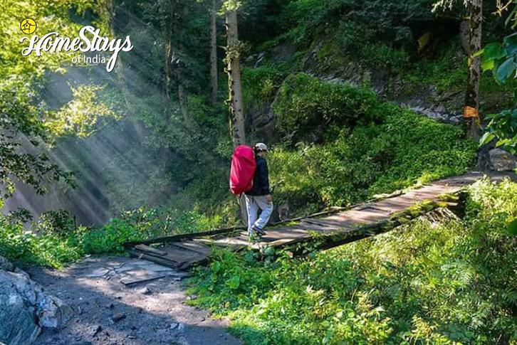 Surrounding-1-Kais Village Homestay-Kullu