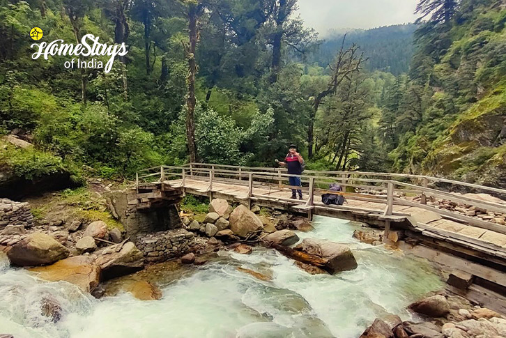 Surrounding-Pristine Peaks Homestay-Sankri