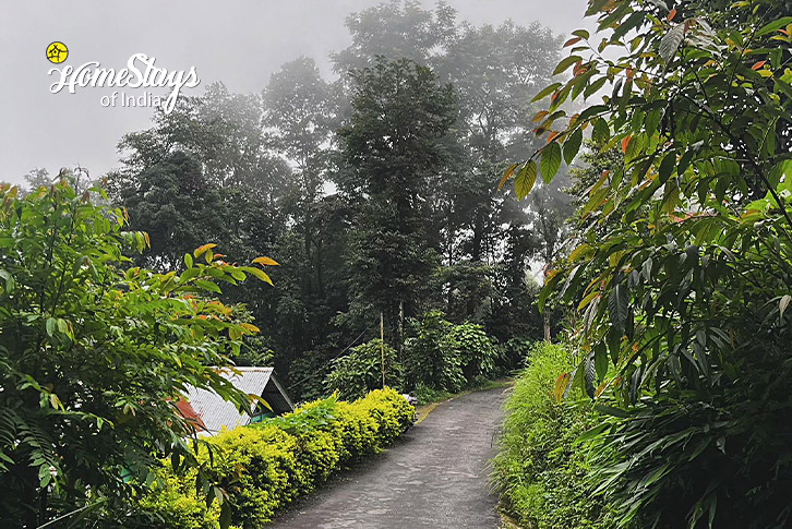 Surrounding-Calm Creek Farmstay, Bijanbari-Darjeeling