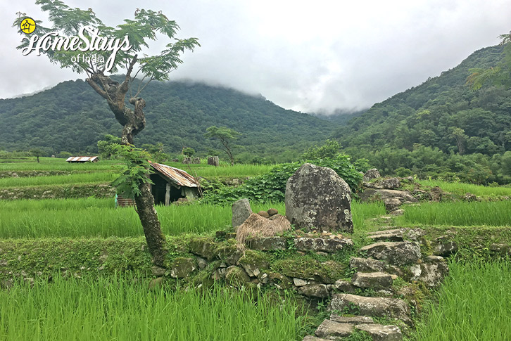 Surrounding-Happy Hues Homestay, Khonoma-Kohima