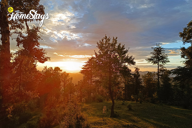 Surrounding-Hillside Harmony Homestay-Chail (2)