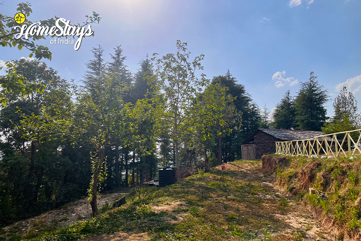 Surrounding-Hillside Harmony Homestay-Chail