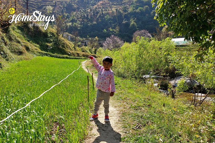 Surrounding-Kaphal Farmstay, Kempty-Mussoorie