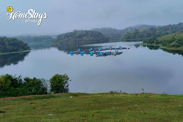 Surrounding-Meditating Woods Homestay-Wayanad