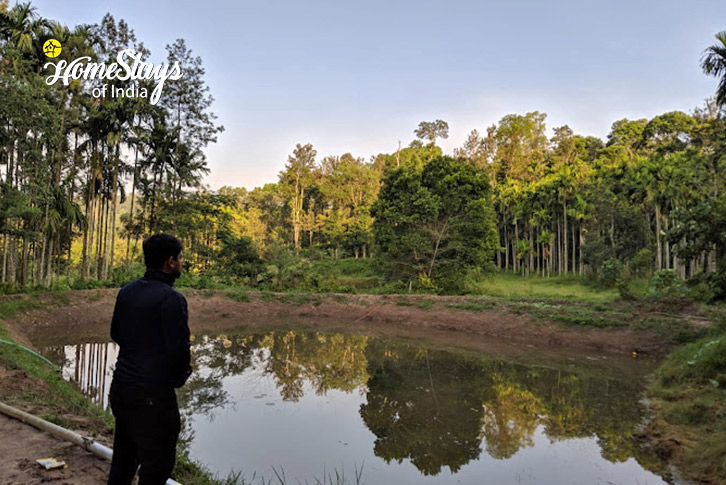 Surrounding-Mystic Forest Homestay, Virajpet-Coorg