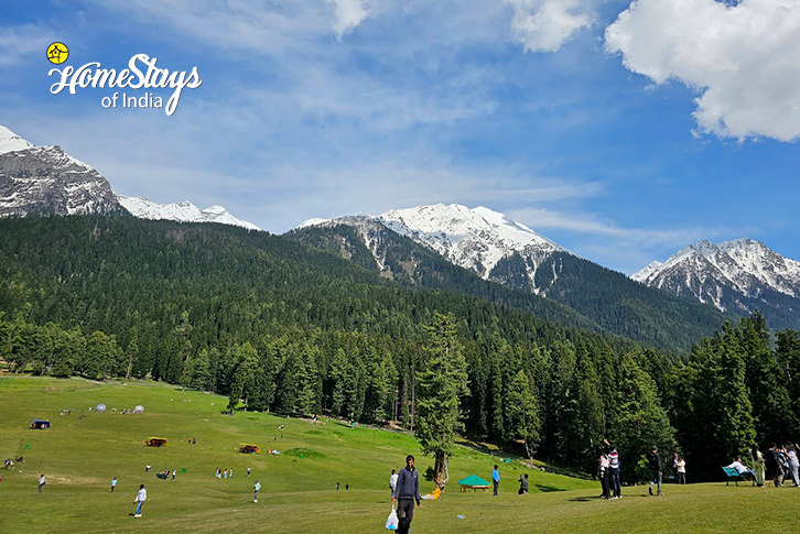 Surrounding-Serenity by the River Homestay-Pahalgam