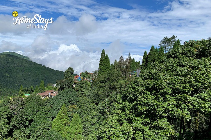 Surrounding-View-Enchanting Hills Homestay-Ghoom, Darjeeling