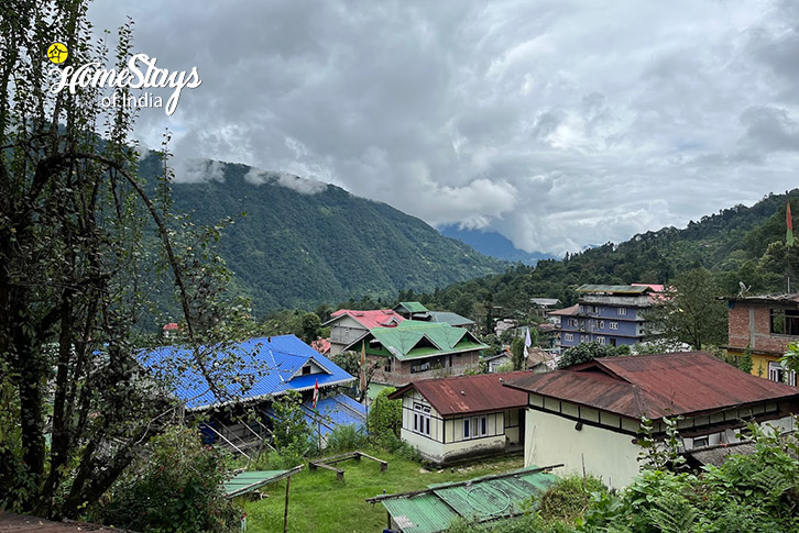 Surrounding-View-Mountain Bloom Homestay-Pelling