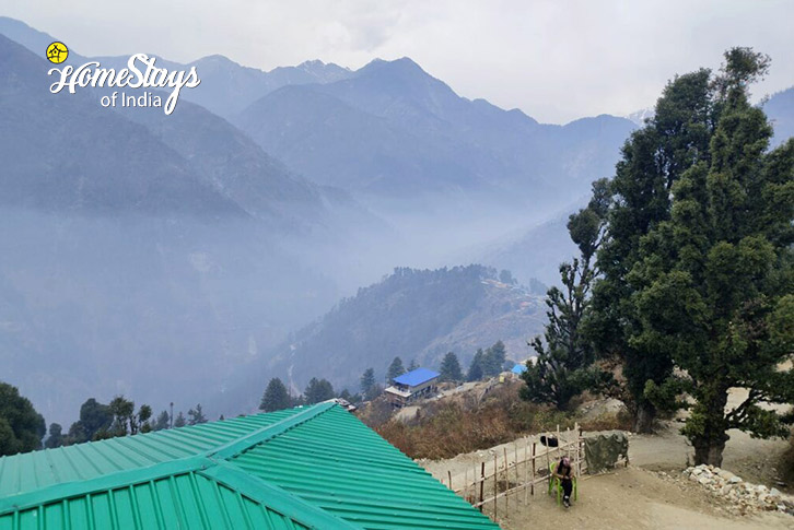 Surrounding-Pristine Peaks Homestay-Sankri