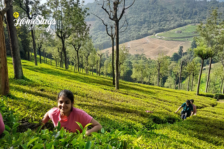 Tea-Trail-Rythm of Nature Farmstay, Kotagiri-Nilgiri Hills