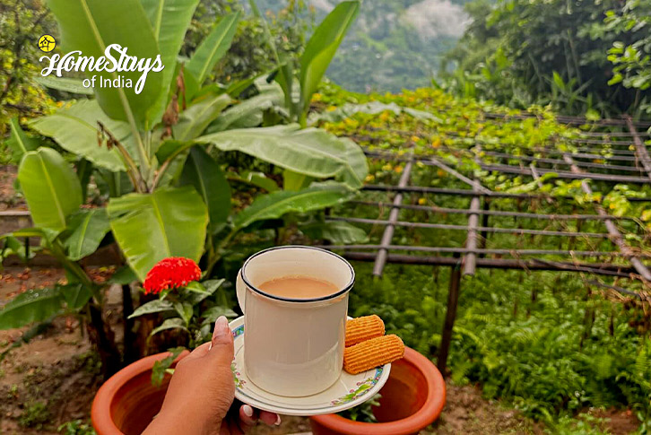 Tea-with-Nature-Calm Creek Farmstay, Bijanbari-Darjeeling