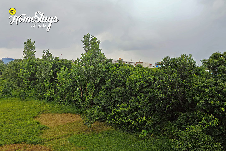 Terrace-View-For Rest Homestay-Ramnagar