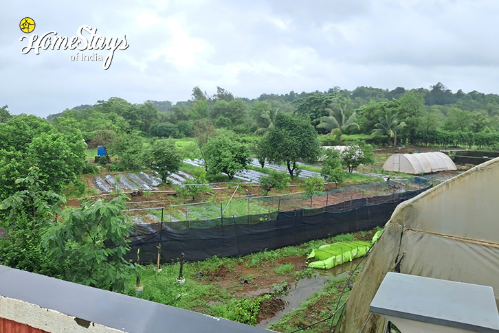 Terrace-view-Fruitful Acres Farmstay, Kolad-Raigad