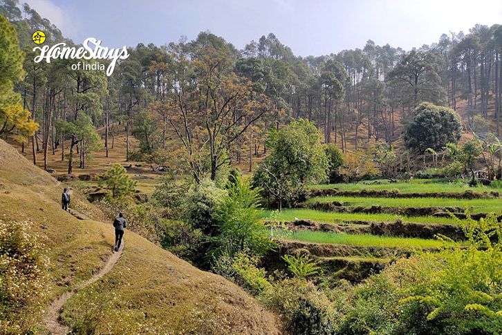 Trekking-Dreamy Dawn Homestay-Kausani