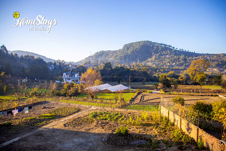 Vegetation-Area-The Nine Petals Homestay-Naukuchiatal 