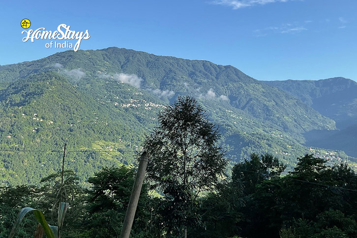 View-Calm Creek Farmstay, Bijanbari-Darjeeling