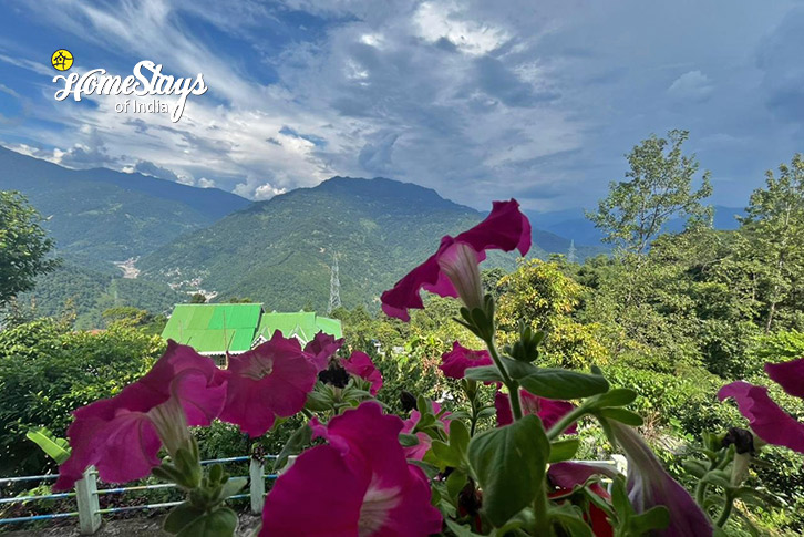 View-Windward Homestay-Namthang, South Sikkim